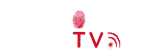 WebTV BePolar à Quais du Polar 2024