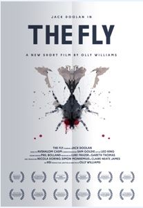 The Fly - Olly Williams