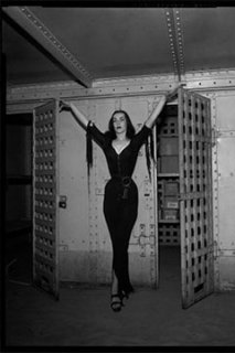 Ouverture des archives de la police américaine !