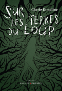 Les sorties thriller de 2022 des éditions Buchet-Chastel 