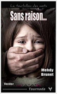Sans Raison - Mehdy Brunet