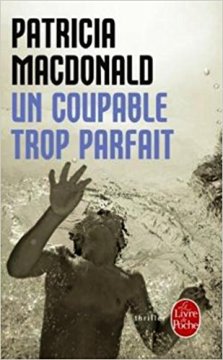 Un coupable trop parfait - Patricia Macdonalds