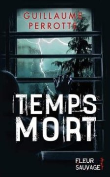 Temps mort - Guillaume Perrotte