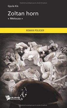 Zoltan Horn - Gyula Kis