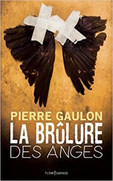 La brûlure des anges - Pierre Gaulon