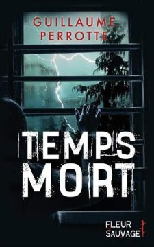 Temps mort - Guillaume Perrotte