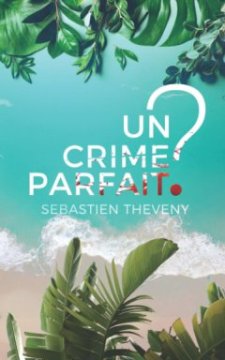 Un crime parfait ? - Sébastien Theveny