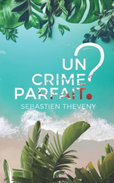 Un crime parfait ? - Sébastien Theveny