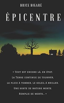 Épicentre - Brice Bigaré