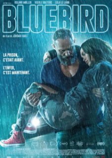 Bluebird de Jérémie Guez disponible en VOD