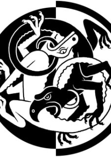 L'interview d'Aurélien Masson