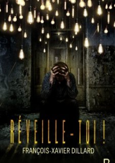 Réveille-toi, le dernier roman de François-Xavier Dillard