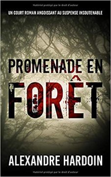 Promenade en forêt - Alexandre Hardoin