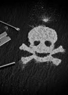 Oups chef, je crois que je me suis trompé... 