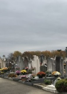 L'invité surprise... 