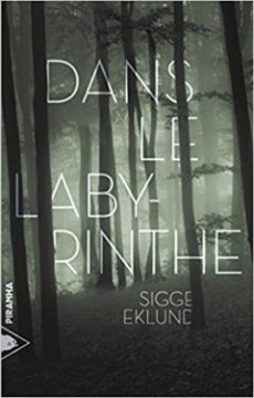 Dans le labyrinthe - Sigge Eklund