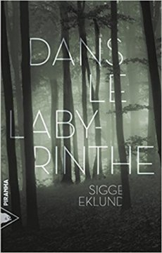 Dans le labyrinthe - Sigge Eklund