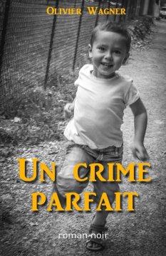 Un crime parfait - Olivier WAGNER