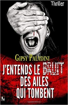J'entends le bruit des ailes qui tombent - Gipsy Paladini