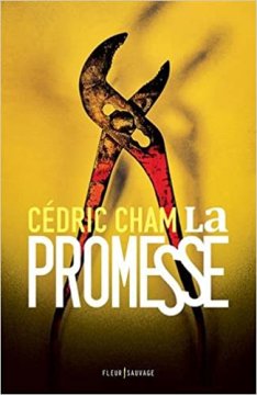 La Promesse - Cédric Cham 