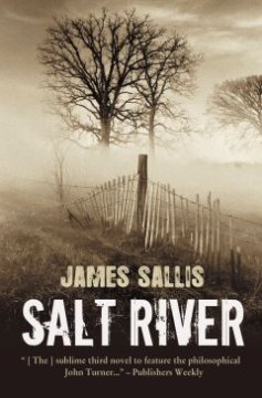 Salt river - James Sallis