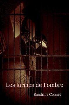 Les Larmes de l'Ombre - Sandrine Colmet