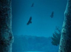 La nouvelle série du co-créateur d'Ozark, Mark Williams, s'appellera Safe Harbor