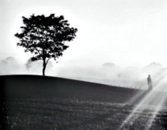 Les polars que VOUS aimez ! 