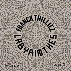 Labyrinthes (audio) - Franck Thilliez
