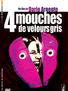 Quatre mouches de velours gris