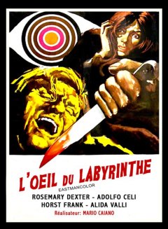 L'œil du labyrinthe