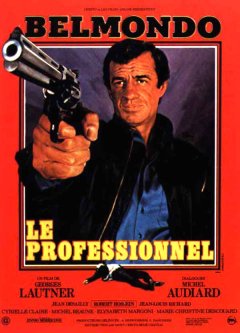 Le professionnel
