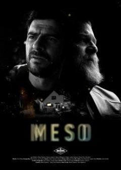 Meso - Sasa Hajdukovic