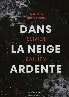 Dans la Neige Ardente - Olivier Gallien 