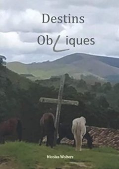 Destins Obliques