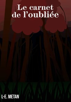Le carnet de l'oubliée - Louis-E. Metan