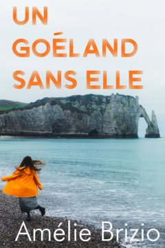 Un Goéland sans Elle - Amélie Brizio