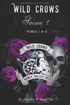 Wild Crows - Saison 1 : (Tomes 1 et 2)