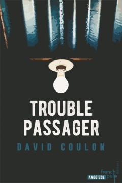 Trouble passager - David Coulon