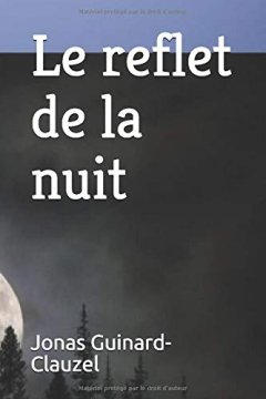 Le reflet de la nuit