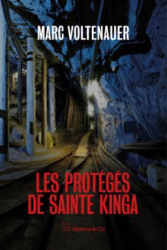 Les protégés de Sainte Kinga - Marc Voltenauer