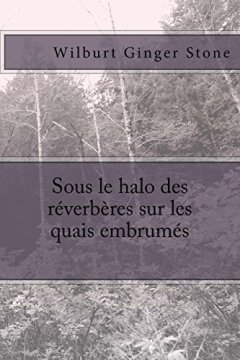 Sous le halo des reverberes sur les quais embrumes - Wilburt Ginger Stone
