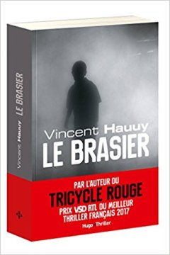 Le brasier - Vincent Hauuy