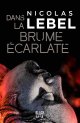 Dans la brume écarlate - Nicolas Lebel